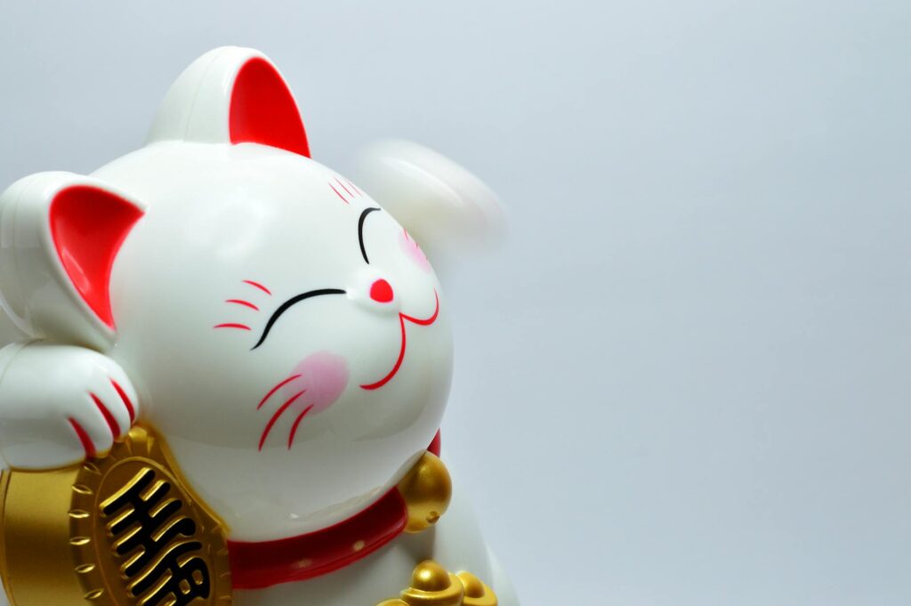 japanese lucky coin cat